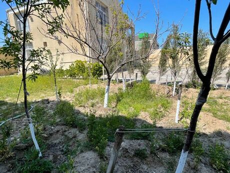 4 otaqlı həyət evi, 185 m², Novxanı: 157 000 ₼ 4