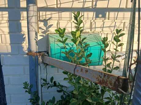 3 otaqlı həyət evi, 80 m², Əhmədli: 115 000 ₼ 3