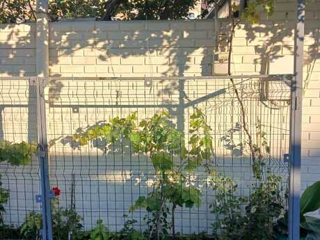 3 otaqlı həyət evi, 80 m², Əhmədli: 115 000 ₼ 5
