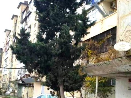 Elan №6454116 - Bakı, Əhmədli q., 2 otaqlı, 60 m², 7/9 mərtəbə