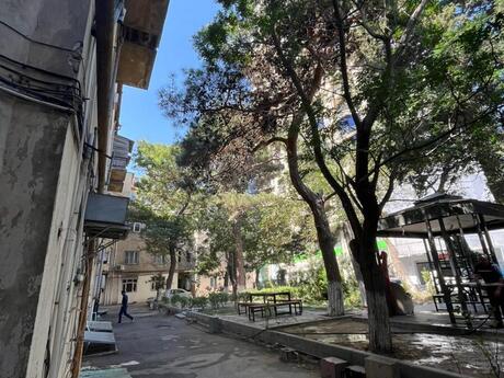 Elan №6455487 - Bakı, 28 May m., 2 otaqlı, 66 m², 4/4 mərtəbə