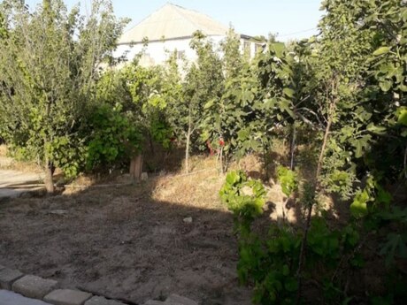5 otaqlı həyət evi, 120 m², Dübəndi: 82 000 ₼ 2