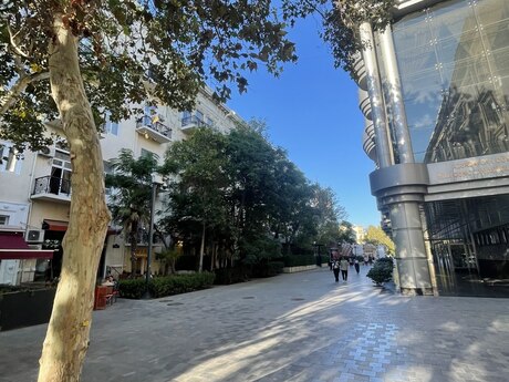 Kirayə 2 otaqlı mənzil, 65 m², Sahil: 900 ₼/ay 2