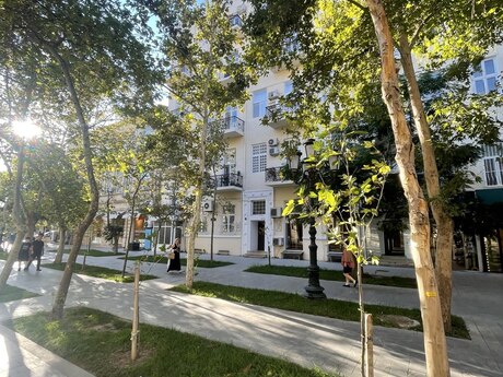 Elan №6455723 - Bakı, Sahil m., 2 otaqlı, 65 m², 3/5 mərtəbə