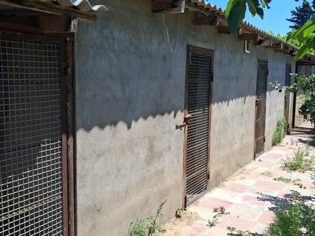 5 otaqlı həyət evi, 117 m², Maştağa: 167 000 ₼ 4