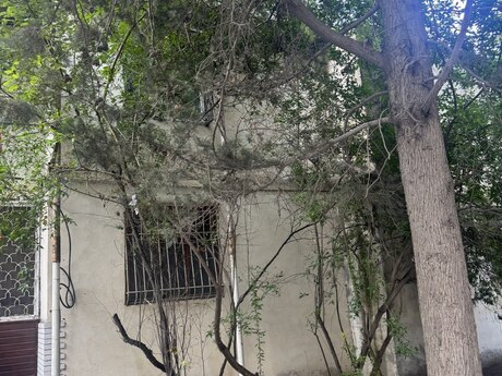 2 otaqlı mənzil, 65 m², Azadlıq Prospekti: 235 000 ₼ 3