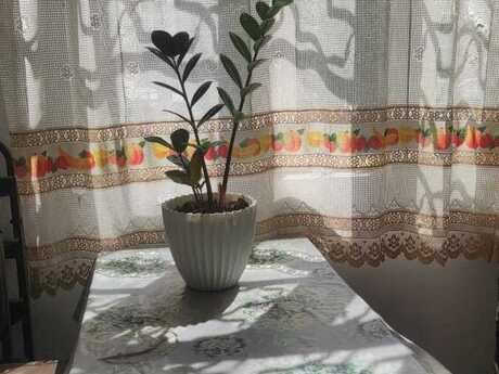Kirayə 2 otaqlı mənzil, 45 m², Elmlər Akademiyası: 650 ₼/ay 3