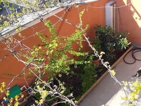 7 otaqlı həyət evi, 170 m², Zabrat: 118 000 ₼ 3