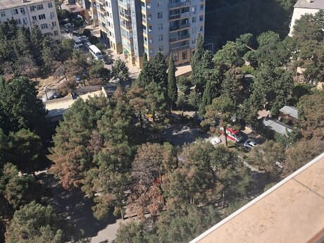 3 otaq · 117 m² · 14/17 mərtəbə, 20 Yanvar