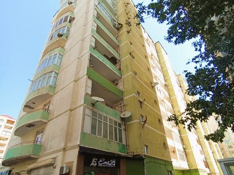 4 8 Noyabr