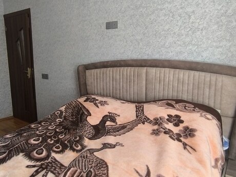 3 otaqlı həyət evi, 120 m², Novxanı: 109 000 ₼ 5