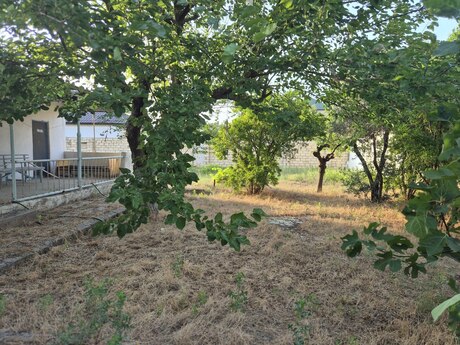 Elan №6180458 - Bakı, Bilgəh q., 8 sot