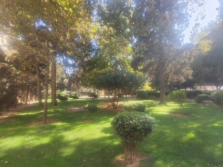 Kirayə 2 otaqlı mənzil, 45 m², 28 May: 900 ₼/ay 2