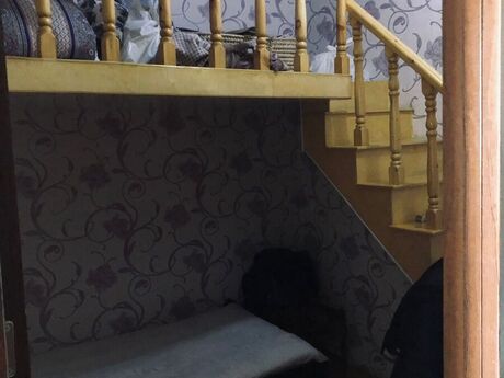 3 otaqlı mənzil, 71 m², Memar Əcəmi: 182 000 ₼ 5