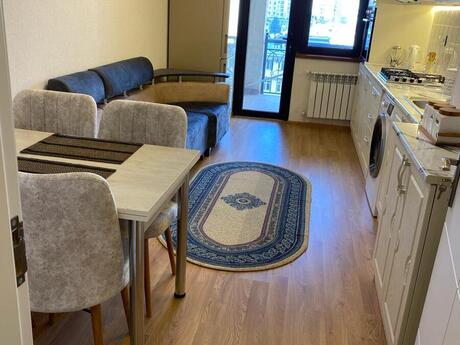Kirayə 2 otaqlı mənzil, 100 m², Nəriman Nərimanov: 1 000 ₼/ay 4