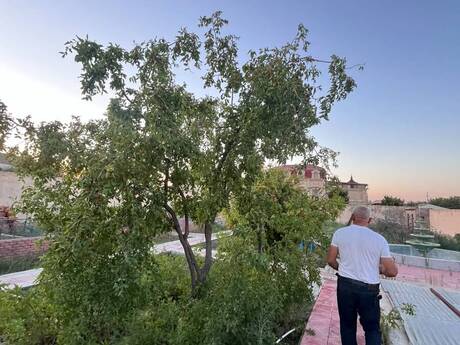 3 otaqlı həyət evi, 100 m², Novxanı: 150 000 ₼ 4
