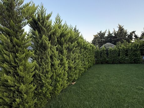 6 otaqlı həyət evi, 420 m², Bilgəh: 609 000 ₼ 4
