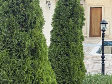 6 otaqlı həyət evi, 420 m², Bilgəh: 609 000 ₼ 3