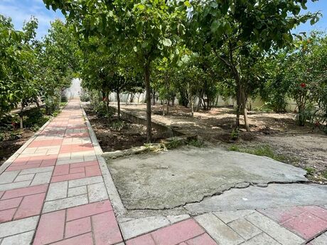 6 otaqlı həyət evi, 180 m², Novxanı: 185 000 ₼ 4