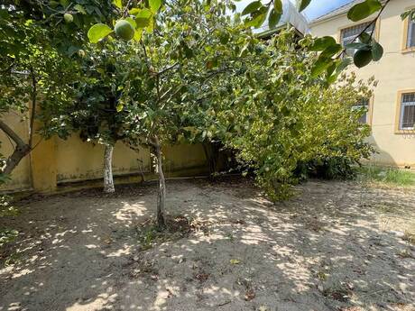5 otaqlı həyət evi, 230 m², Novxanı: 219 000 ₼ 3