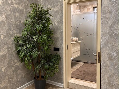 4 otaqlı həyət evi, 140 m², Bahar: 240 000 ₼ 5