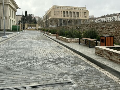 3 Elmlər Akademiyası