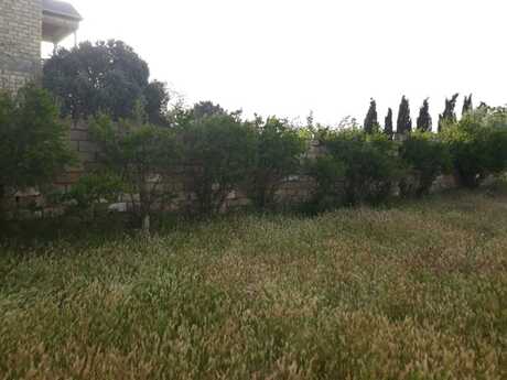 Elan №6462810 - Bakı, Masazır q., 3.5 sot
