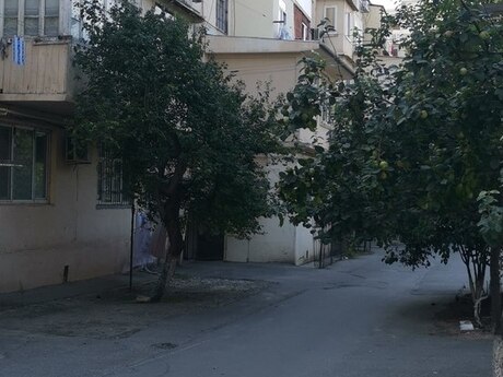 1 otaqlı mənzil, 45 m², 7-ci mikrorayon: 112 000 ₼ 3