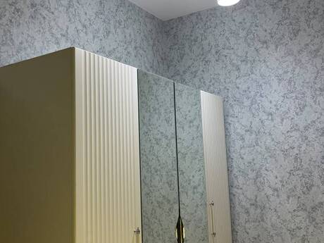 Kirayə 2 otaqlı mənzil, 100 m², Nəsimi: 990 ₼/ay 5