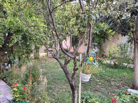 8 otaqlı həyət evi, 200 m², Sahil: 450 000 ₼ 5