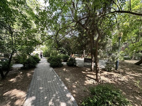 3 otaqlı mənzil, 90 m², Azadlıq Prospekti: 230 000 ₼ 4