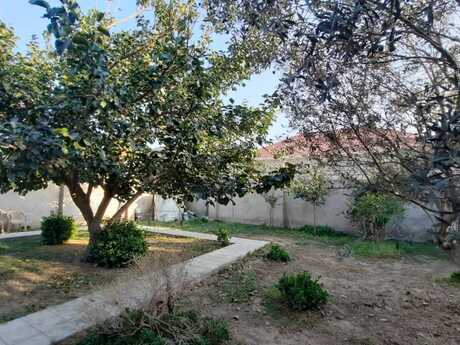 7 otaqlı həyət evi, 250 m², Buzovna: 269 000 ₼ 3