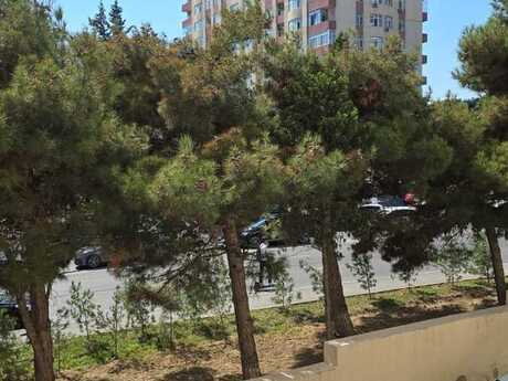 1 rooms · 34 m² · floor 2/9, Gənclik