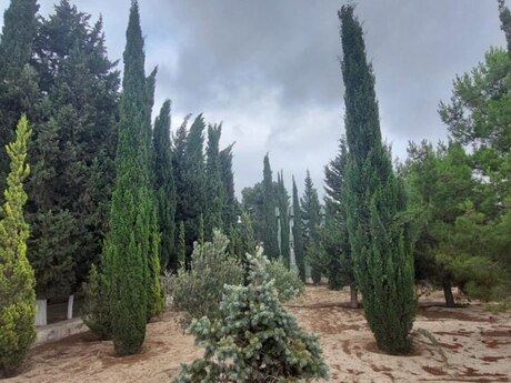 8 otaqlı həyət evi, 650 m², Novxanı: 1 000 000 ₼ 3