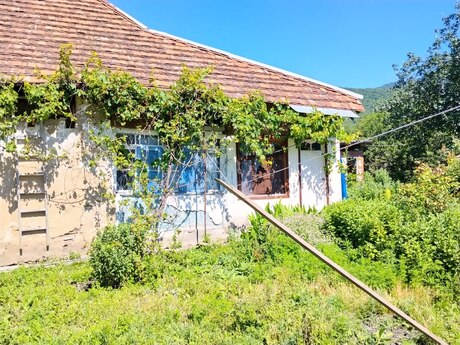 Elan №6465296 - Oğuz, Oğuz, 4 otaqlı, 80 m²