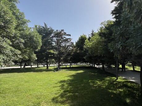 3-room apartment, 110 m², Nəsimi: 380 000 ₼ 2