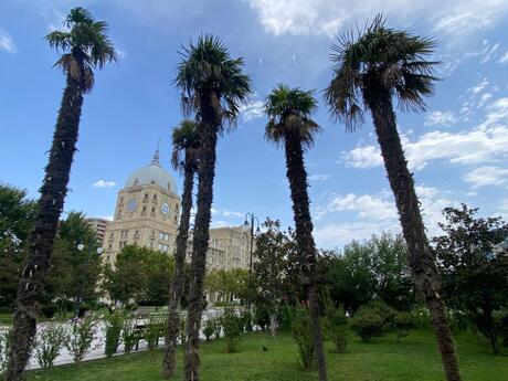 3-room apartment, 115 m², Nizami: 350 000 ₼ 3