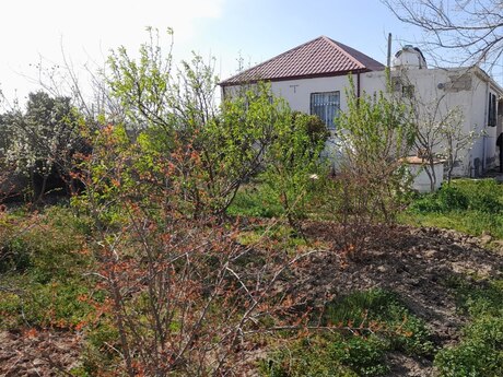 Elan №6465595 - Sumqayıt, Sumqayıt, 3 otaqlı, 67 m²
