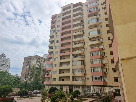 3 8 Noyabr