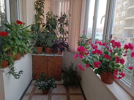 4 otaqlı mənzil, 130 m², Binəqədi: 355 000 ₼ 3