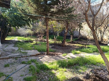 3 otaqlı həyət evi, 526 m², Bakıxanov: 300 000 ₼ 3