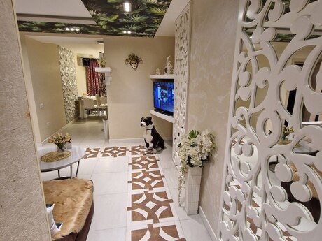 2 otaqlı mənzil, 58 m², Bakıxanov: 160 000 ₼ 2