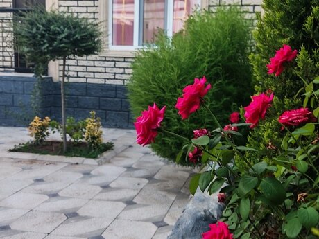 3 otaqlı həyət evi, 87 m², Binə: 107 000 ₼ 2