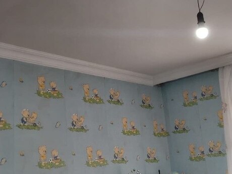 3 otaqlı həyət evi, 100 m², Mehdiabad: 105 000 ₼ 5