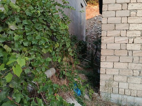 3 otaqlı həyət evi, 100 m², Badamdar: 160 000 ₼ 4