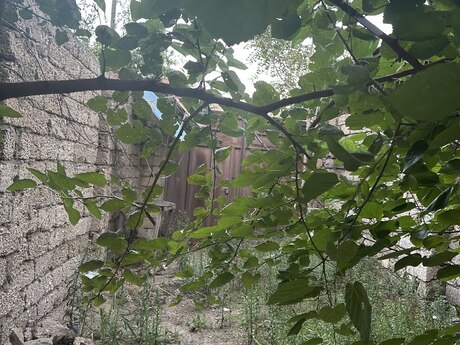 3 otaqlı mənzil, 65 m², NZS: 107 000 ₼ 4