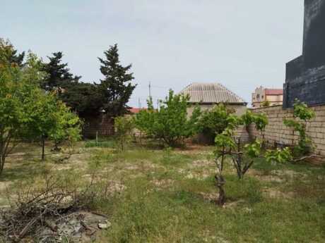 Elan №6469357 - Bakı, Şüvəlan q., 6 sot