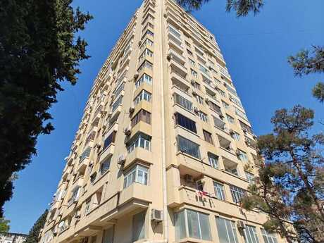 3 20 Yanvar