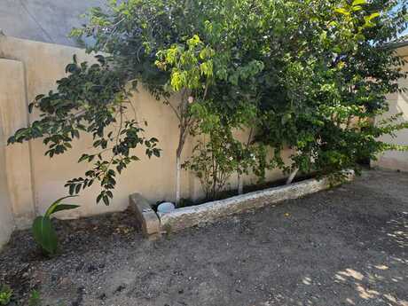 2 otaqlı həyət evi, 90 m², Buzovna: 99 000 ₼ 4
