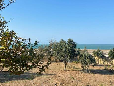 5 otaqlı həyət evi, 235 m², Novxanı: 295 000 ₼ 5